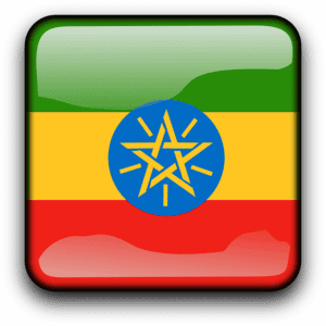 Amharic translation services