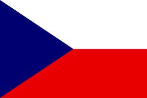 Czech translation services